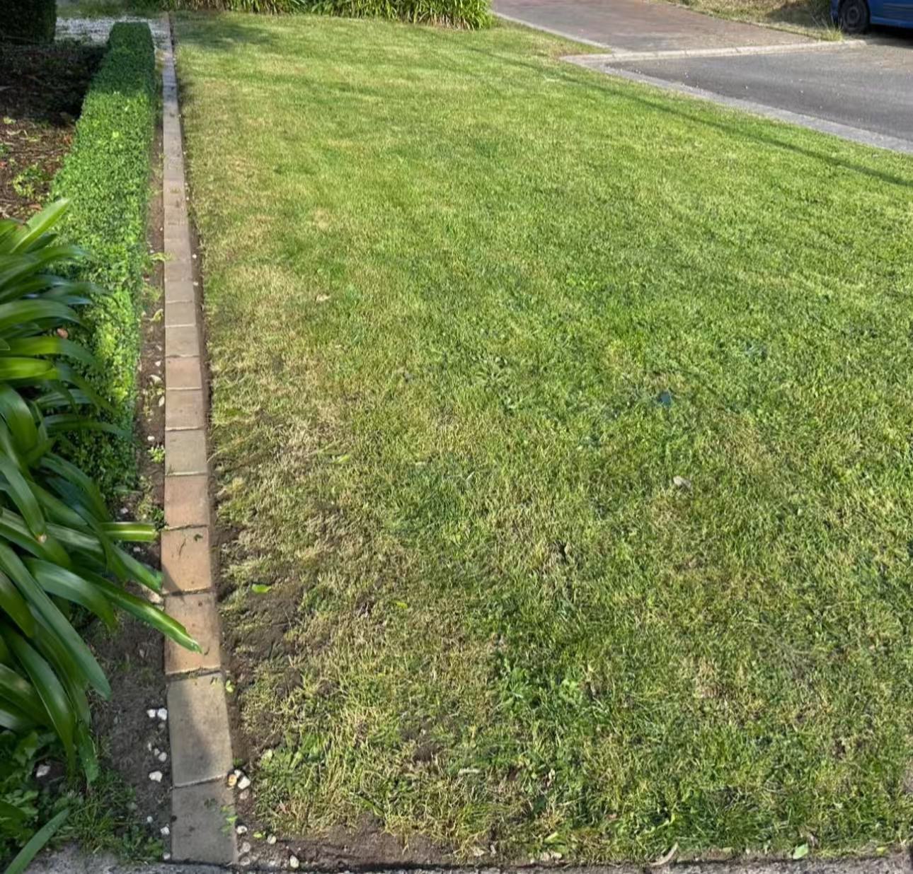 Freshly mowed front lawn with a clean edge along the brick border and a trimmed hedge