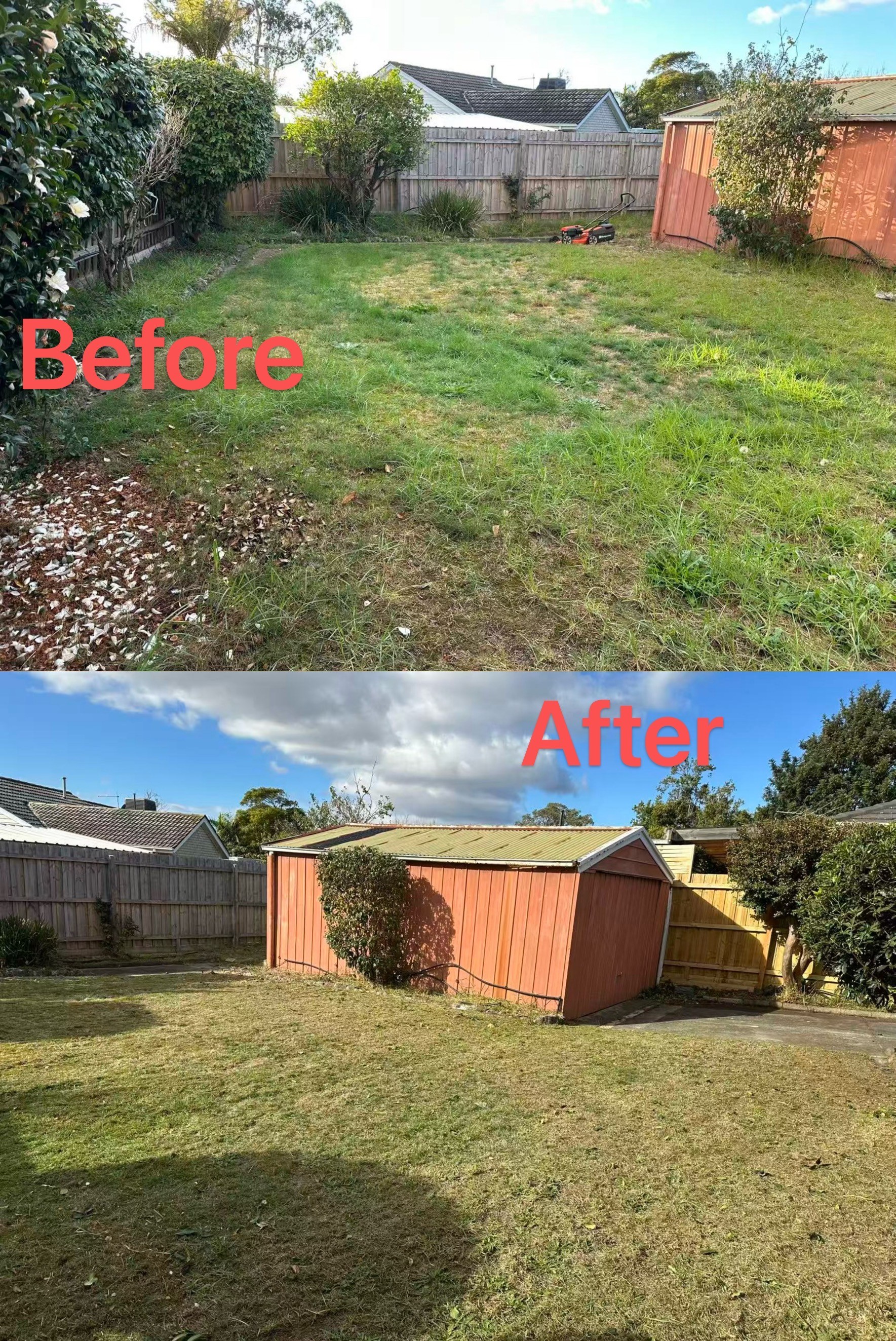 Backyard before and after: long patchy grass mowed down to an even lawn beside a red garden shed