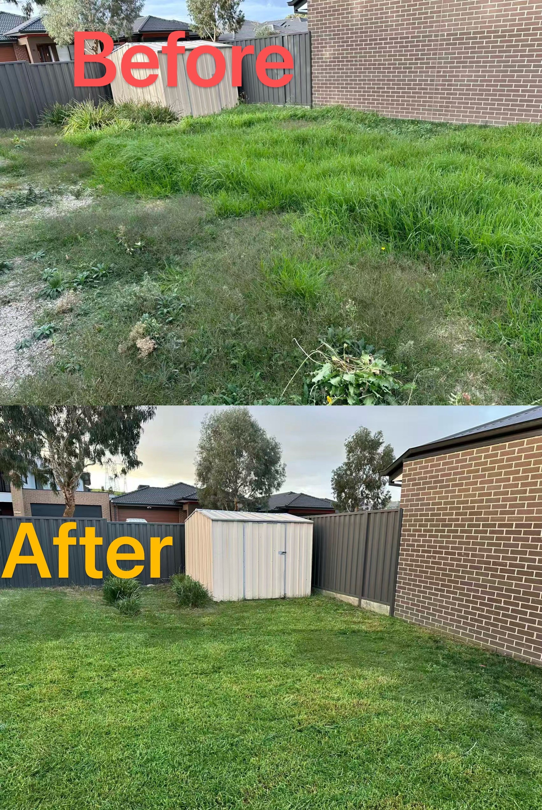 Backyard before and after: long weedy grass around a small shed mowed short and even