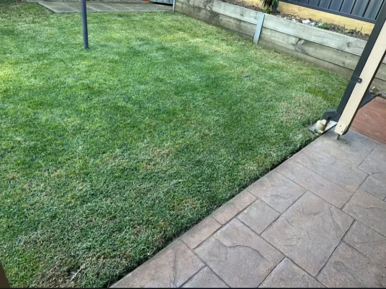 Mowed backyard lawn with a clean edge where it meets a paved patio